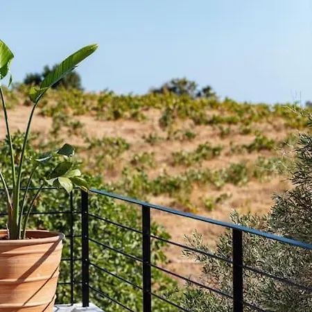 Ikon Living Chania *