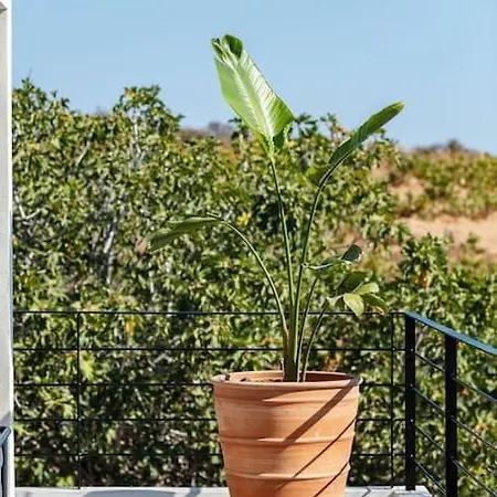 Ikon Living Chania بيت للعطل خانيا