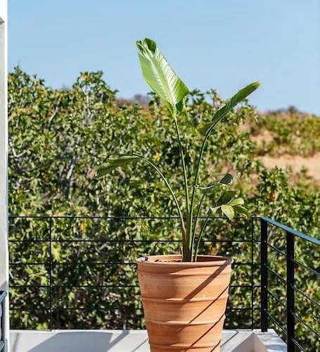 Ikon Living Chania Holiday home Chania (Crete)